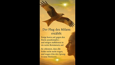 „Der Flug des Milans erzählt“ ✨🧡✨