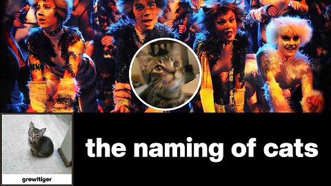 The Naming of Cats - T.S. Eliot/Andrew Lloyd Weber