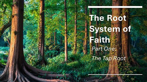 The Root System of Faith, Part 1, Faith: The Taproot