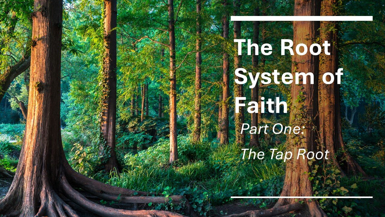 The Root System of Faith, Part 1, Faith: The Taproot