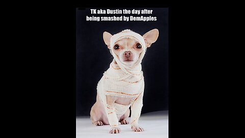 @DemApples trolls TK (real name Dustin) aka the Chi-waaaaaaa-waaaaaaa
