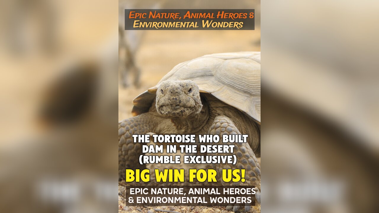 The Tortoise Who Built a Dam in the Desert (Rumble Exclusive)