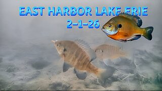 Ice Fishing East Harbor 2-1-26 during a Tournament
