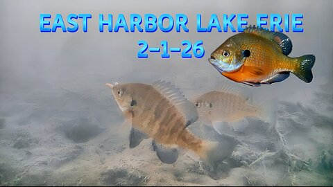 Ice Fishing East Harbor 2-1-26 during a Tournament