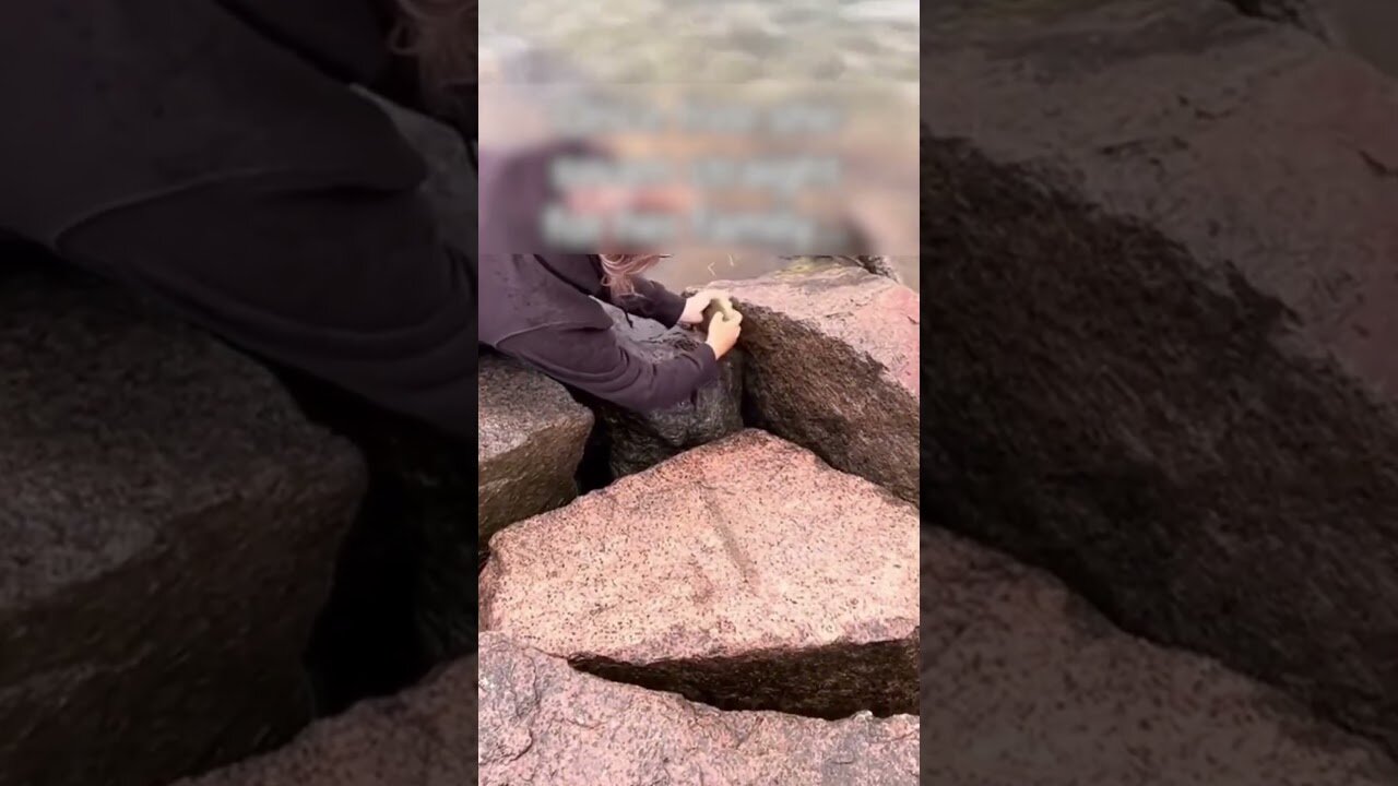 People thought a wild goose was trying to bite them when he was actually asking for help