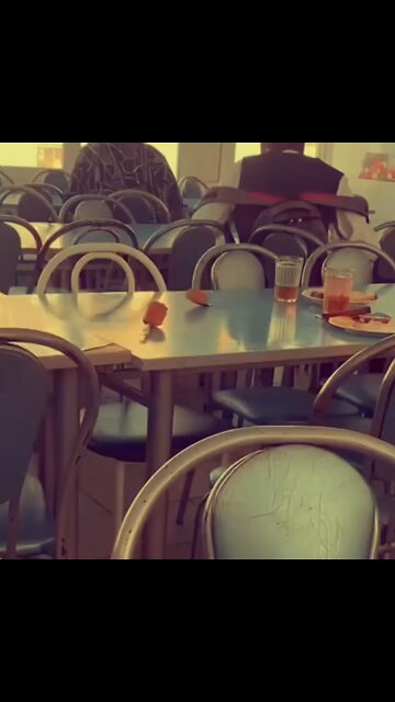 Spoons vibing to my music 😭