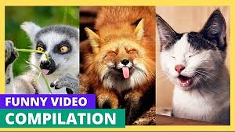 totally Funny video of Youtube