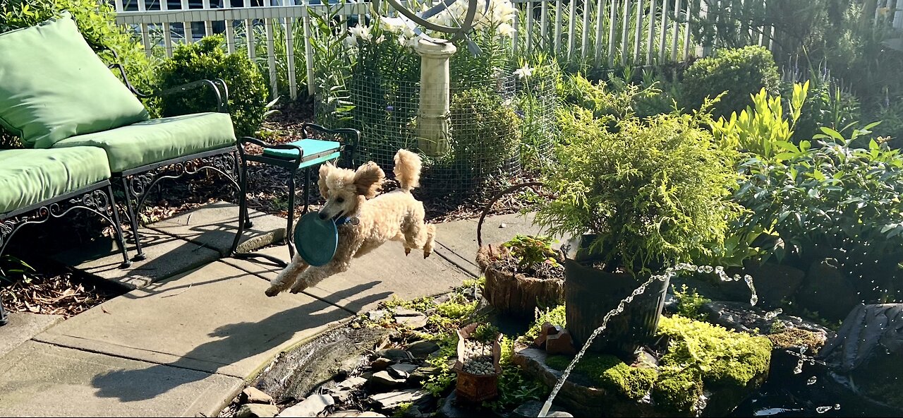 Here comes the sun with Sunny