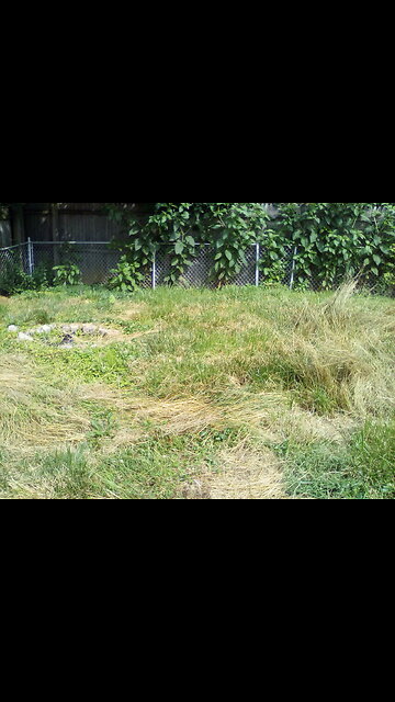 Disabled Vet Needed Lawncare 06/21/25