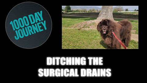 1000 Day Journey 0653 Ditching the Surgical Drains Today