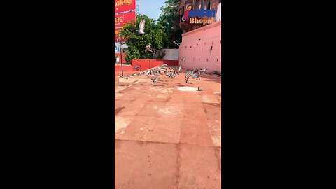 Beautiful Bhopal I love My Bhopal