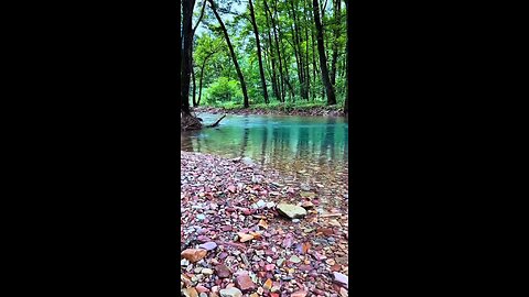 nature lover