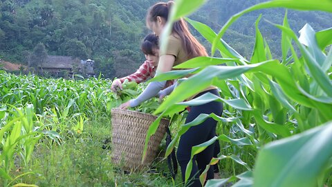 I Spent a Day Selling Vegetables at the Market Here's What I Learned from Lily