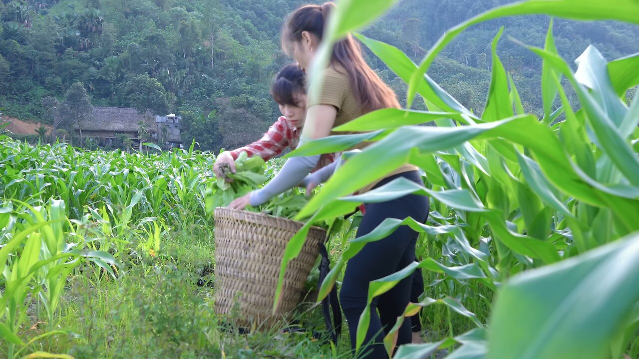 I Spent a Day Selling Vegetables at the Market Here's What I Learned from Lily