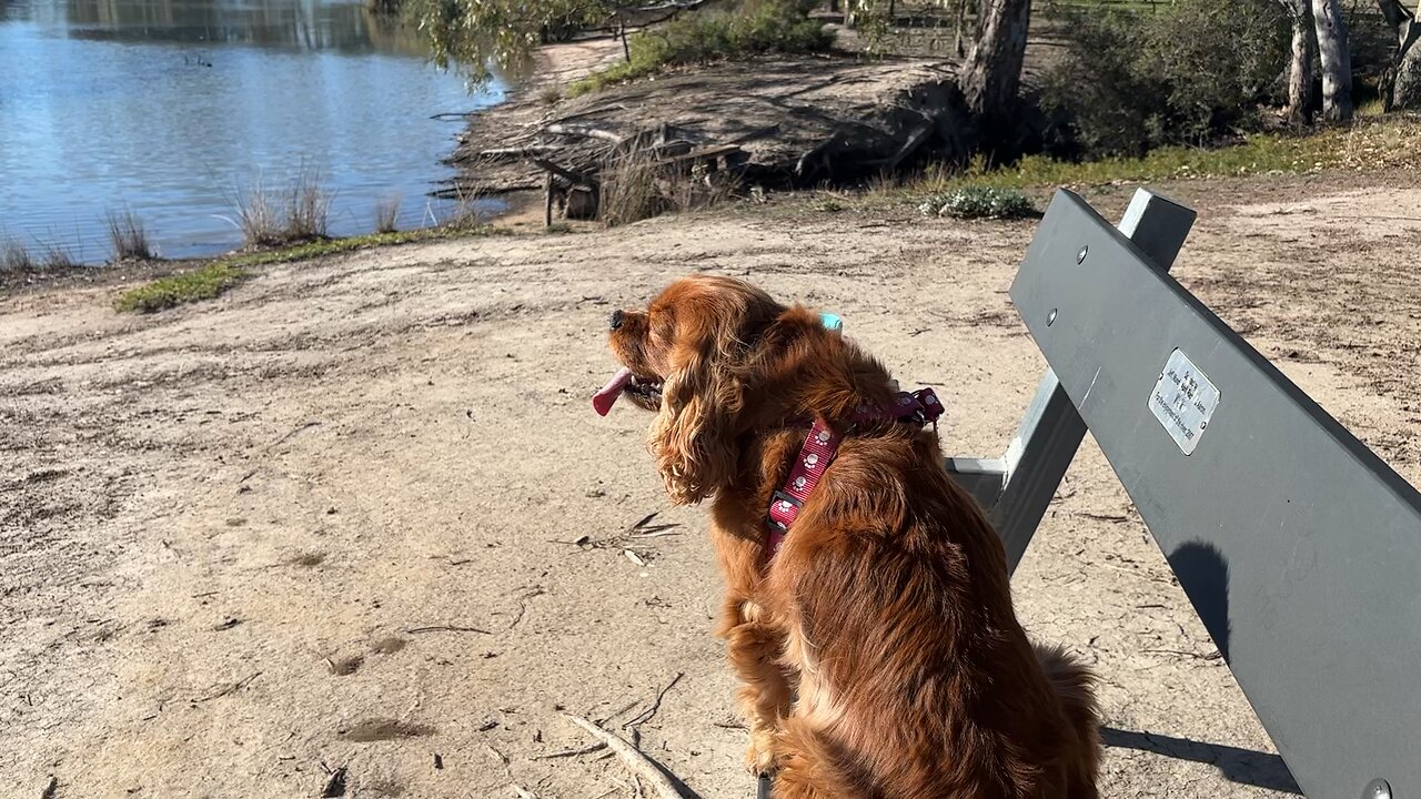 Beautiful day and Mila