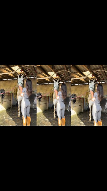 A Day in the Life of an Equestrian