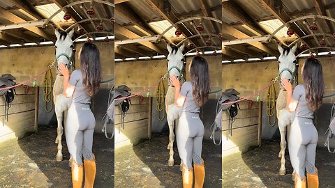 A Day in the Life of an Equestrian