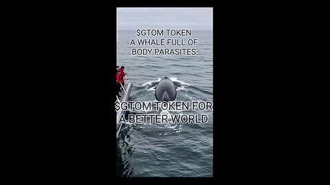 A WHALE FULL OF PARASITES | $GTOM MEME TOKEN OFFICIAL ON TELEGRAM