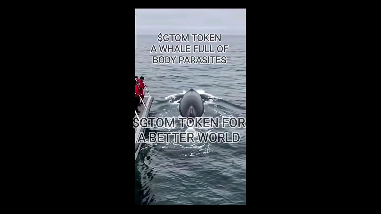 A WHALE FULL OF PARASITES | $GTOM MEME TOKEN OFFICIAL ON TELEGRAM