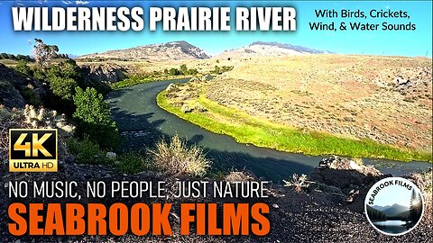 Wilderness Prairie River: With Birds, Crickets, Wind, and Water Sounds