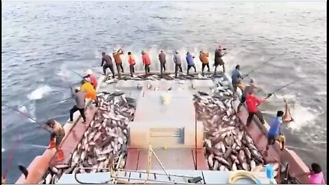 Cómo Los Pescadores Capturan Millones De Atunes, Cangrejos Reales Y Salmones En El Océano