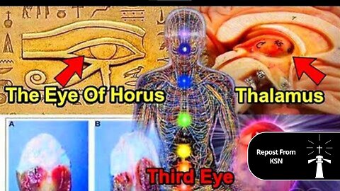 EX-PSYCHIC EXPLAINS HOW PSYCHIC INFORMATION IS DOWNLOADED THROUGH DEMONIC ENTITIES