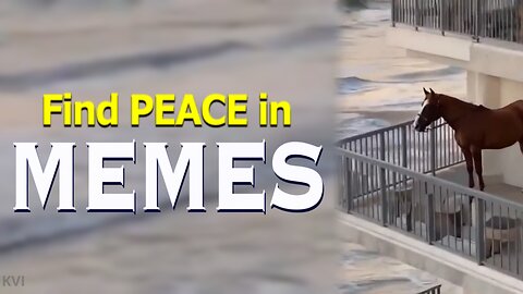 SAVE YOURSELF with MEME THERAPY