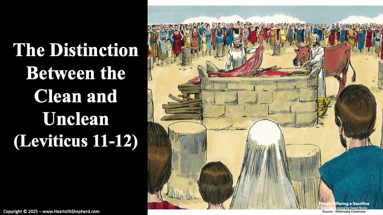 The Distinction Between the Clean and Unclean (Leviticus 11-12) - From www.HeartofAShepherd.com