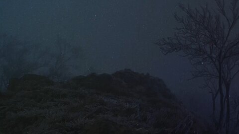 USL’s and GELF’s of Antarctica 🇦🇶 🕸🕷