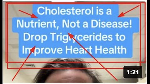 Cholesterol Is A Nutrient, Not A Disease By Dr Jocelyn Foran
