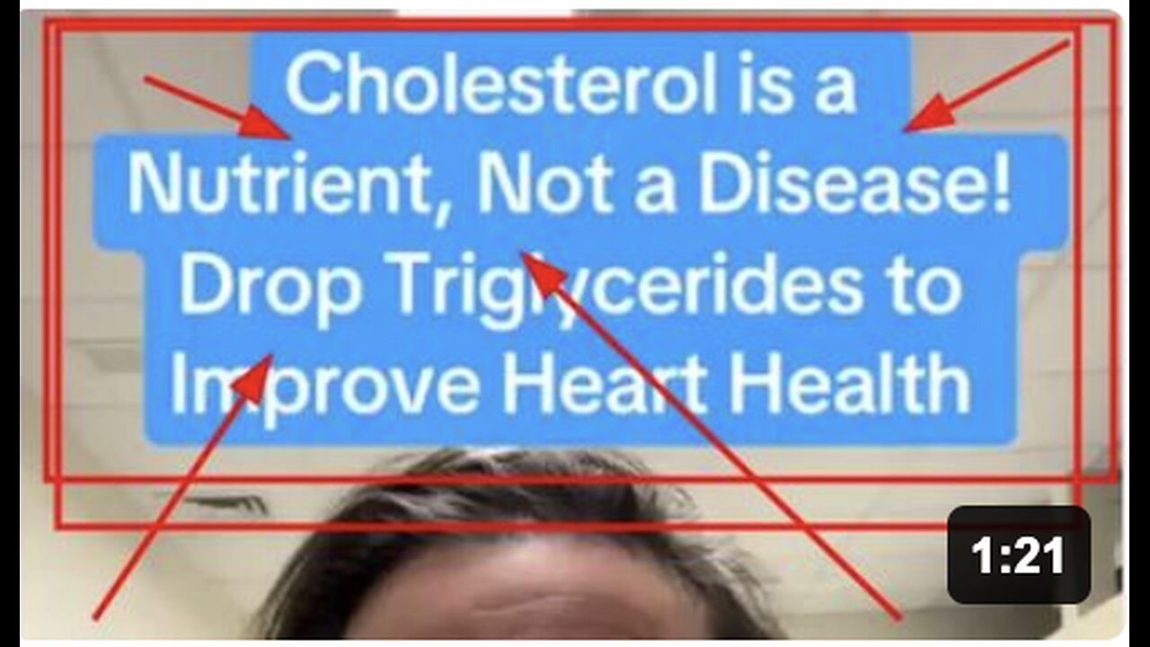 Cholesterol Is A Nutrient, Not A Disease By Dr Jocelyn Foran
