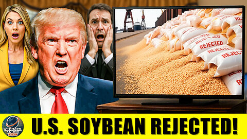 China Halts US Soybean Imports Despite Trade Deal - Trump's Reaction SAYS It All