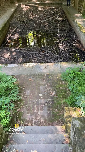 ANYONE KNOW A GOOD POOL CLEANER? 🤭