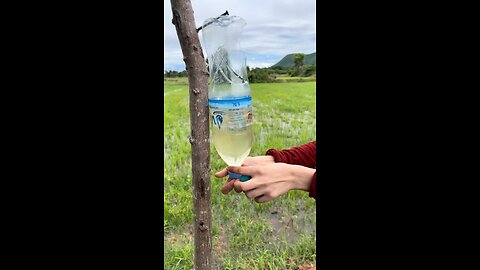 Survival skills: Single mom shows SURVIVAL skills save Soaps & Water #camping #bushcraft #Outdoors