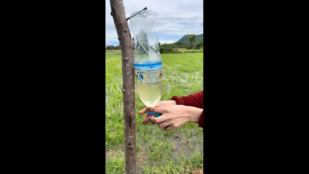 Survival skills: Single mom shows SURVIVAL skills save Soaps & Water #camping #bushcraft #Outdoors