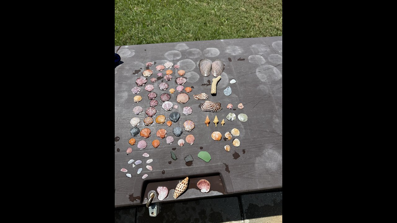 Beach Finds 5/8/2025 | 4K