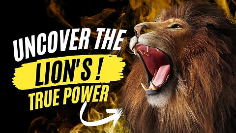 All About Lions 🦁 | Behavior, Hunting, Roars & Life in the Wild | Wildlife Moments