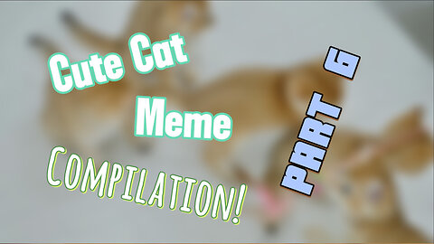 Can You Resist the Cuteness?! The ULTIMATE "Aww" Cat Meme Challenge!
