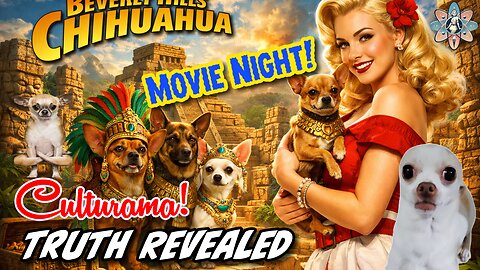 Movie Night! ft. BEVERLY HILLS CHIHUAHUA 🐕 Film Analysis