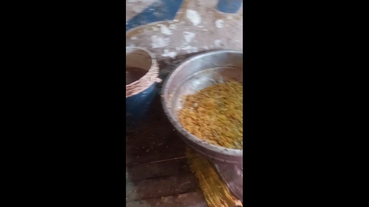 hens video