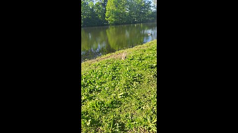 ✝️🫅🦁🙏🏞️Taking My Extra Strength Dose Of The Lord's Heavenly Nature🏞️🙏🦁🫅✝️