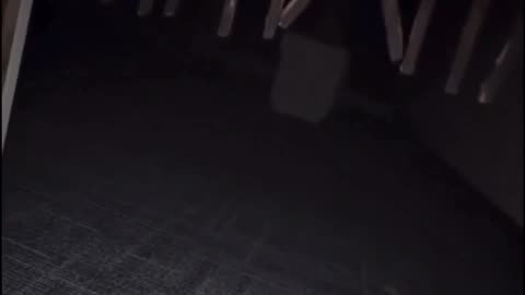 SRA Hidden Facility Part 2