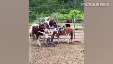 😂 Cutest Duo Ever! A Little Kid & His Horse Become Unstoppable Besties 🐴❤️