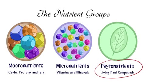 Healing with Food: