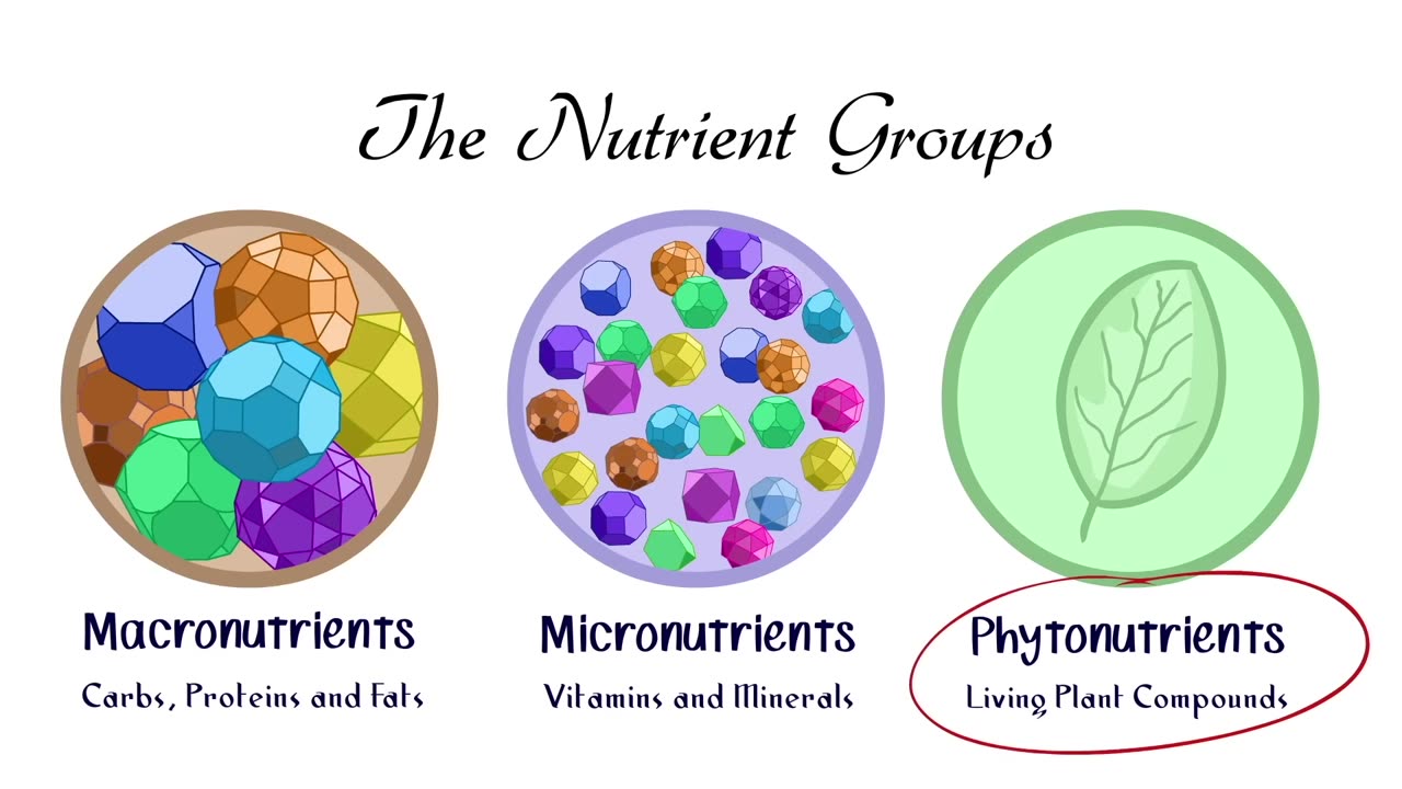 Healing with Food: