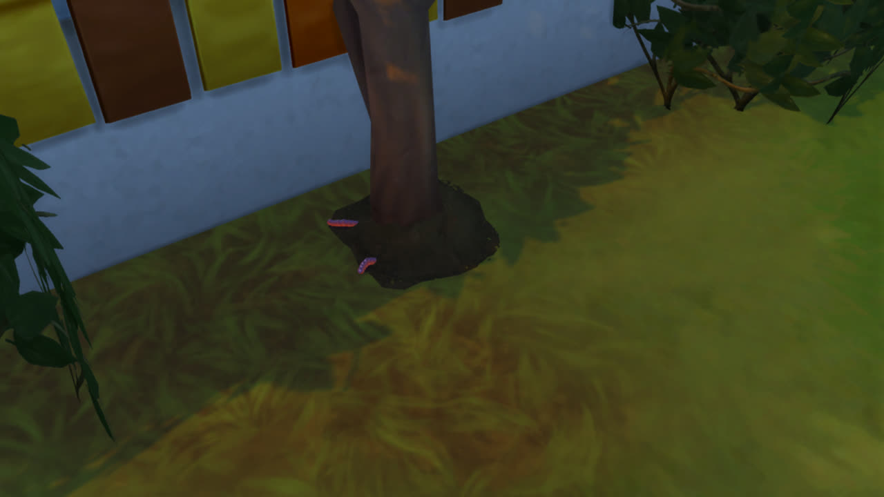 Worms ?