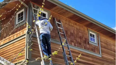 Pro Classic Painting - Top-Quality House Painters in Aurora, CO