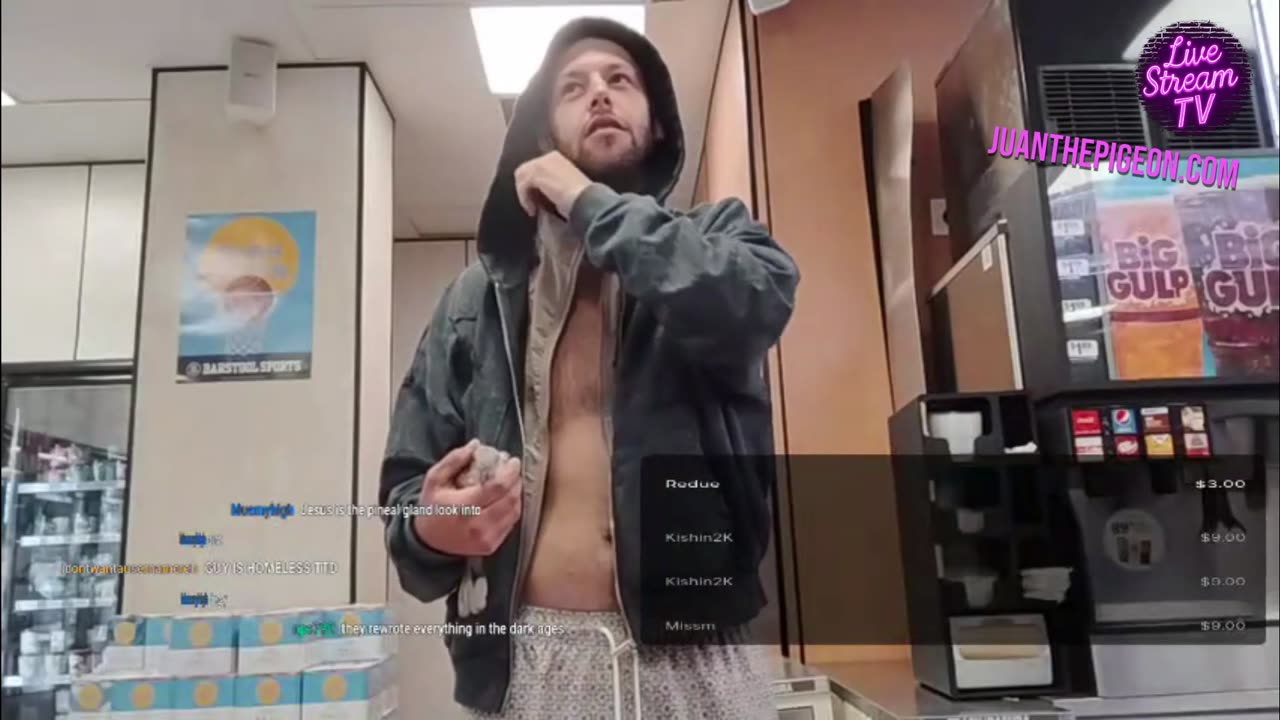 TTD LIVE STREAM WITH A BIRD // HAMPTON BRANDON WITH THE MOURNING DOVE AKA THE COUSIN OF WAN!!!!!