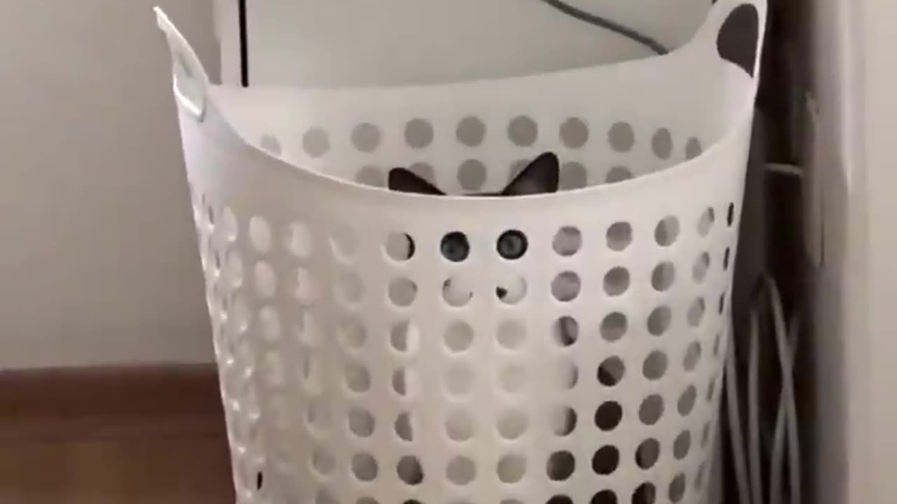 I see you.. 😂