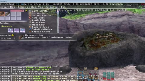 Playing Final Fantasy XI Online